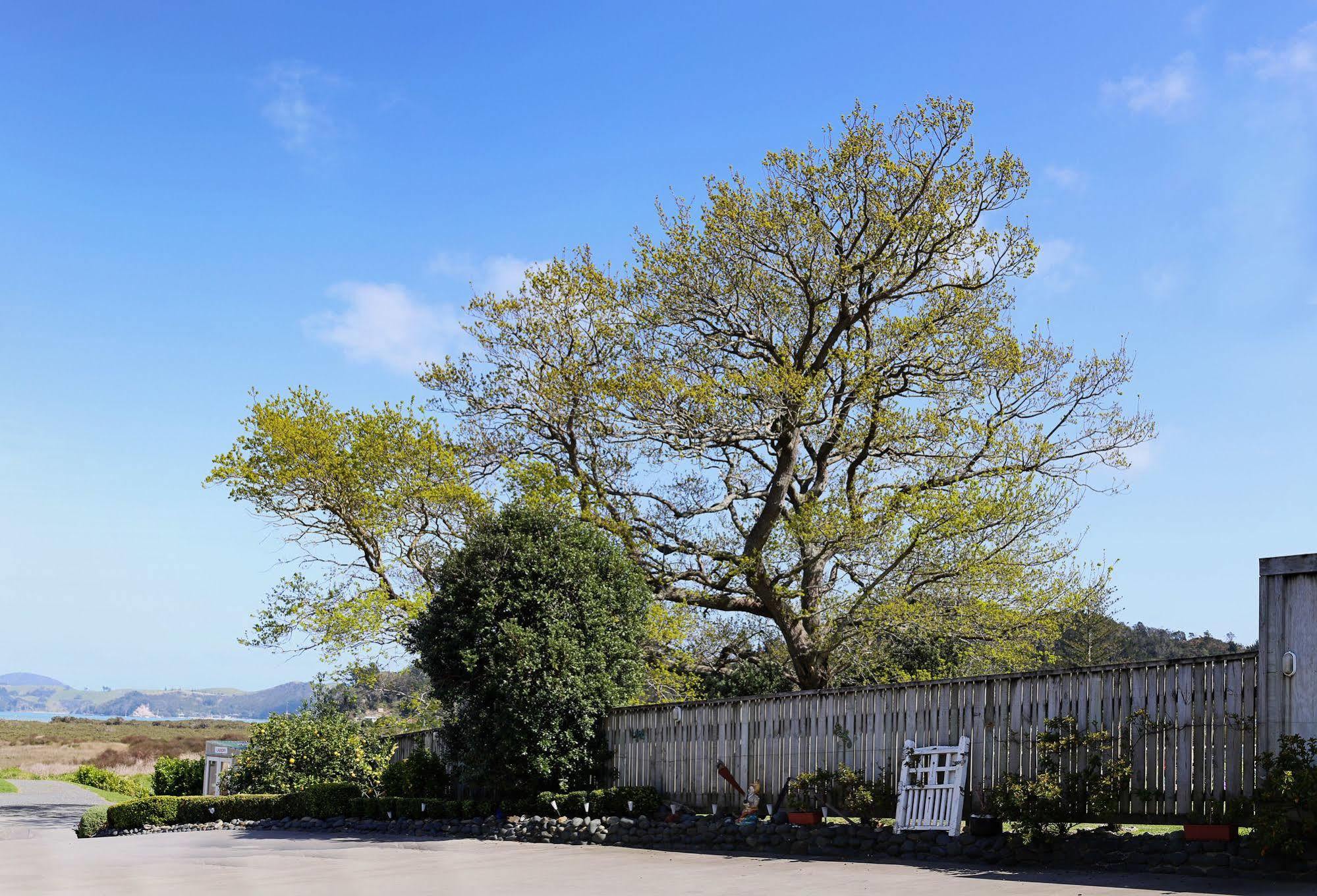 Abbey Court Motel Coromandel Eksteriør bilde